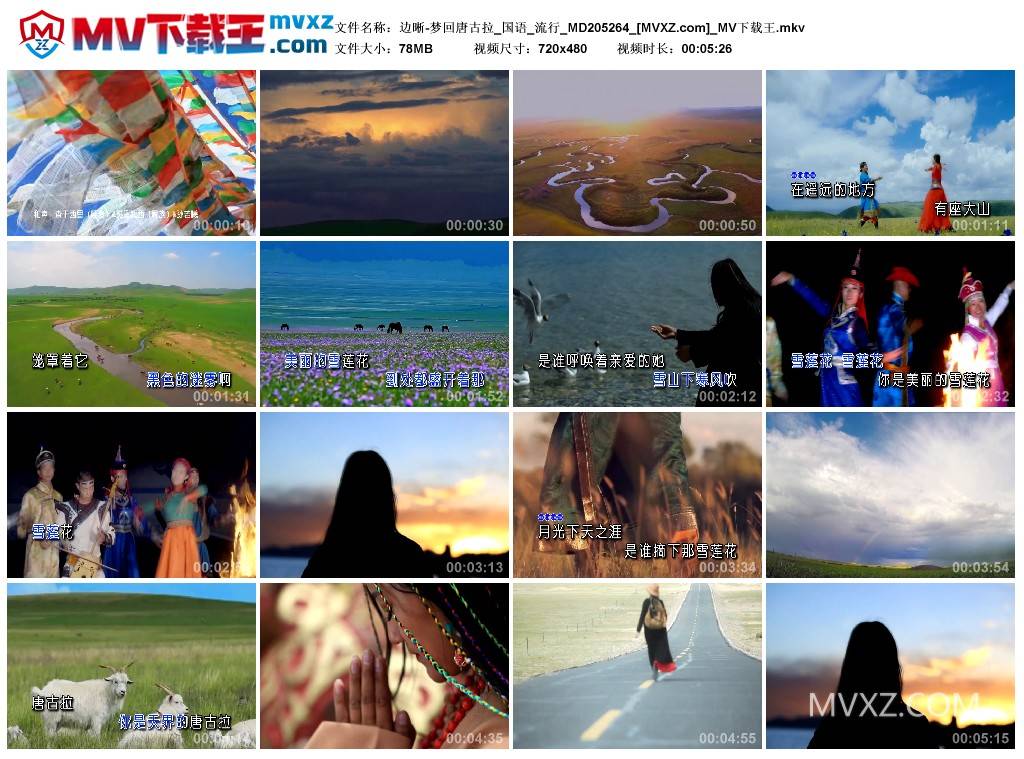 边晰-梦回唐古拉_国语_流行_MD205264